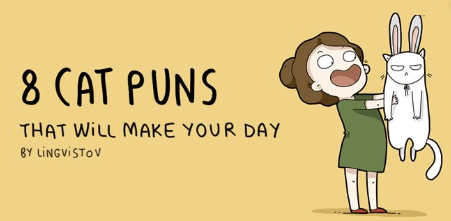 Cat Puns