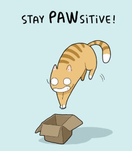 What do cats build to prepare for war Cat-apults