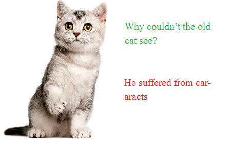Why couldn’t the old cat see He suffered from car-aracts