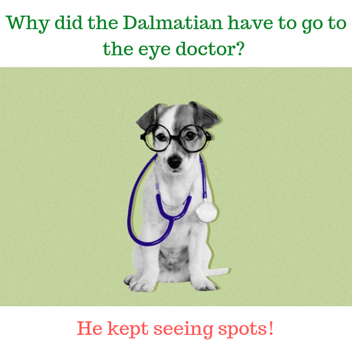 Why did the Dalmatian have to go to the eye doctor He kept seeing spots!