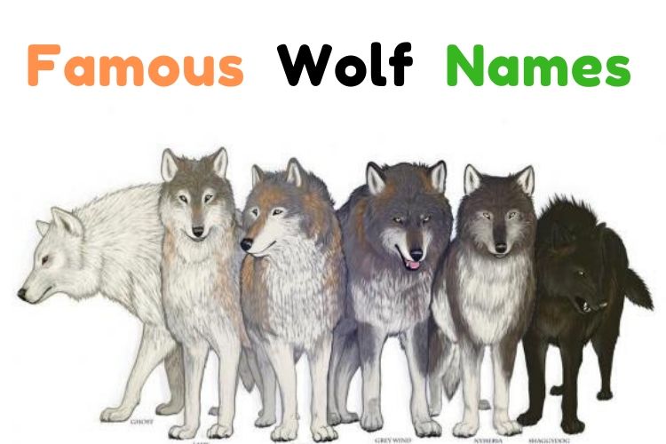 100 wolf characters names