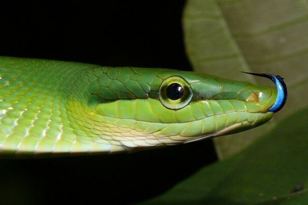 Names from Nature
