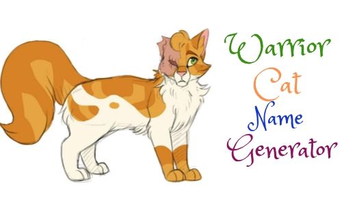 Warrior cat name generator  Warrior cat names, Warrior cats name