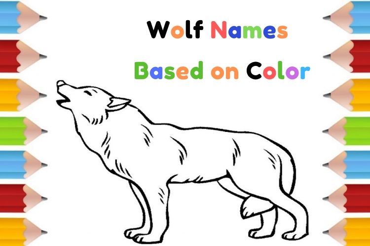 Wolf Names Based on Color