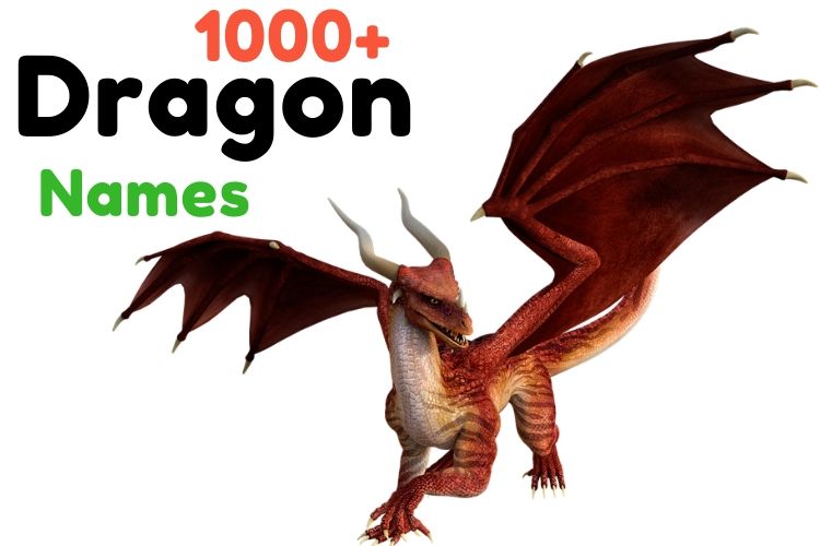 200 Best Dragon Names and Their Cool Meanings - Parade