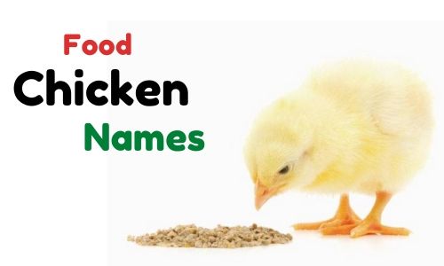 food chicken names