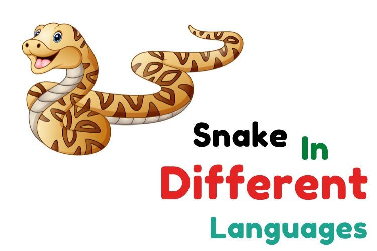 snake in different languages