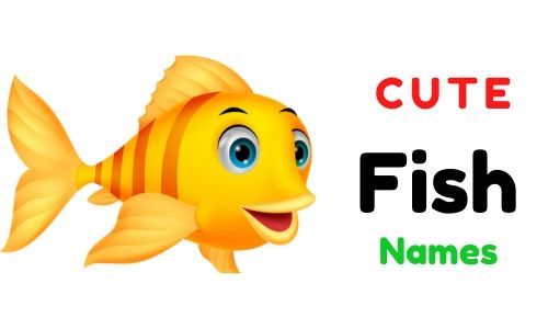Cute Fish Names