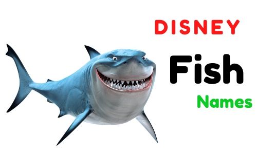 Disney Fish Names