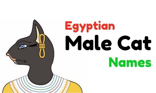 Egyptian Names For Male Cats