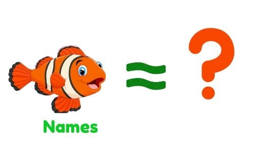 How To Choose Names For pet Fish