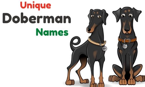 Unique Doberman names