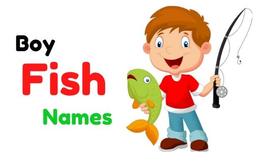 { 1000+ } » Funny Fish Names » Most Famous + Unique + Cute