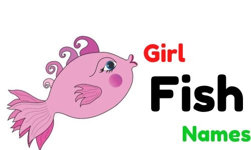 girl fish names