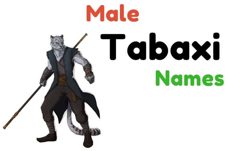  1000+  » Tabaxi Names » Famous, Cool, Funny, Rogue [ M + F ]