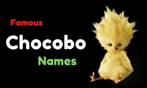 Famous Chocobo Names