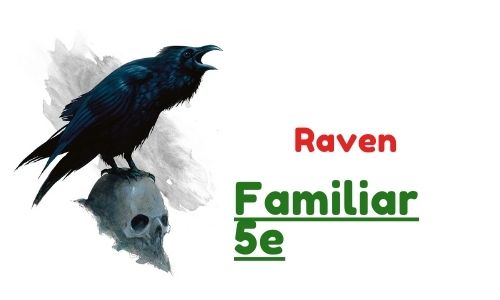 Raven Familiar 5e