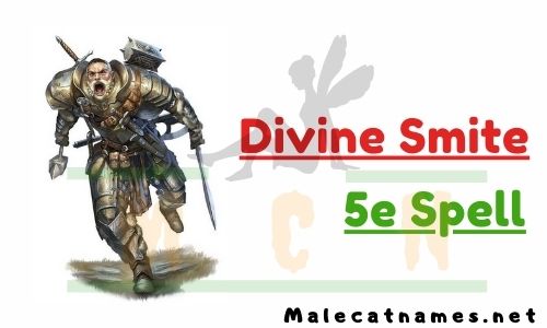 Divine Smite 5e