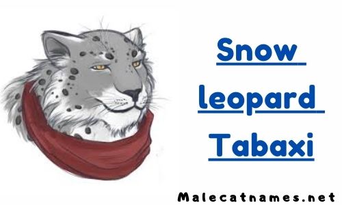 Snow Leopard Tabaxi
