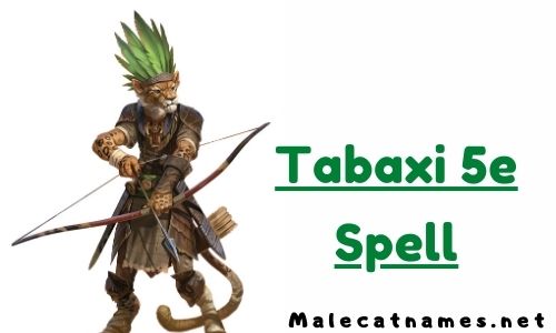 Tabaxi 5e