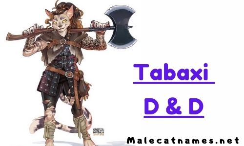 Featured image of post Tabaxi Name Generator