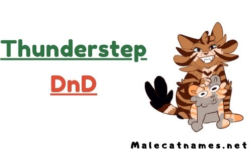 Thunderstep DnD