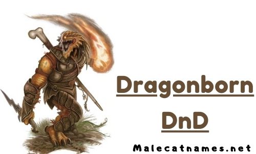 dragonborn dnd