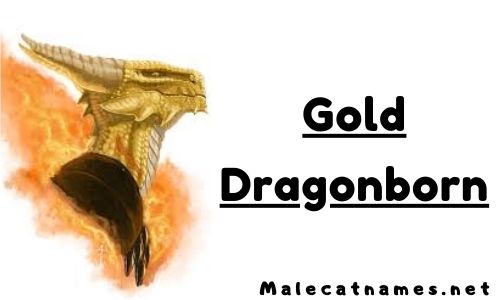 gold dragonborn
