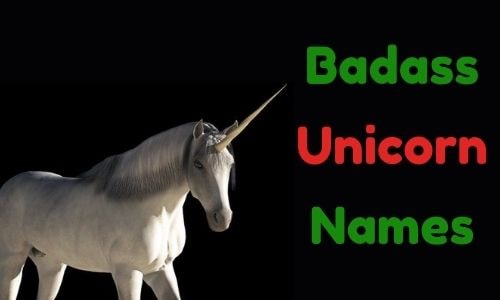 Badass Unicorn Names