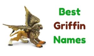 1000+ » Griffin Names » [ Funny + Unique + Famous + Badass + Good ]