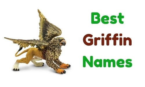 Best Griffin Names