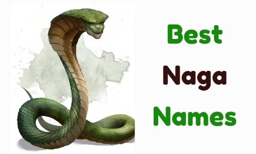Best Naga Names