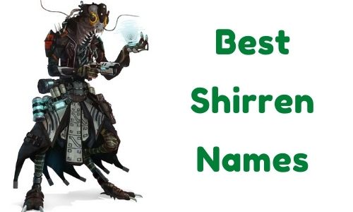 Best Shirren Names