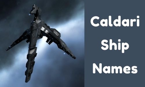 Caldari Ship Names