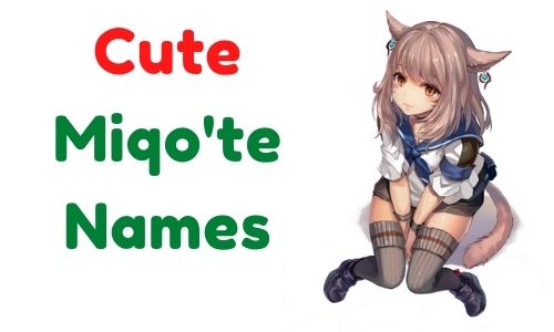 1000 Miqote Names Most Famous Cute Funny Good