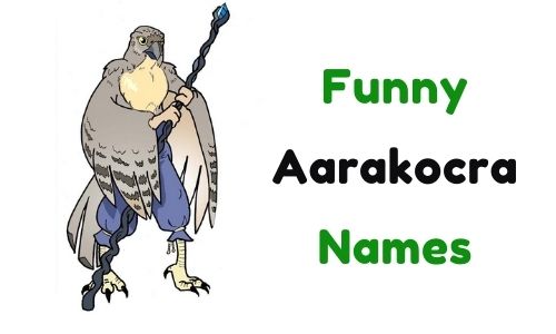 Funny Aarakocra Names