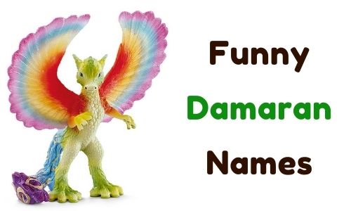 Funny Damaran Names