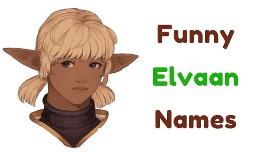 Funny Elvaan Names