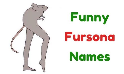 Funny Fursona Names