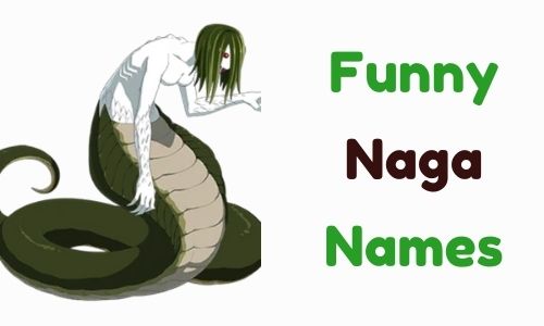 Funny Naga Names