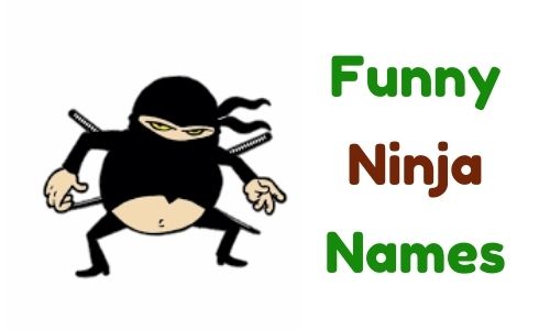 Funny Ninja Names