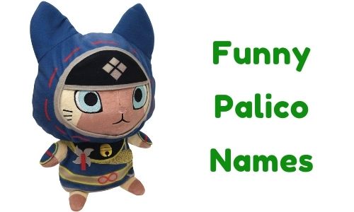 Funny Palico Names