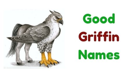 Good Griffin Names
