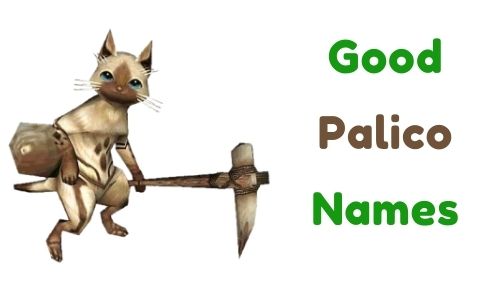 Good Palico Names