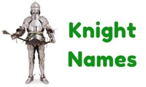1000+ » Knight Names » [ Funny + Unique + Famous + Badass ]