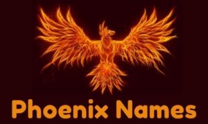 1000+ » Phoenix Names » [ Funny + Unique + Famous + Badass ]