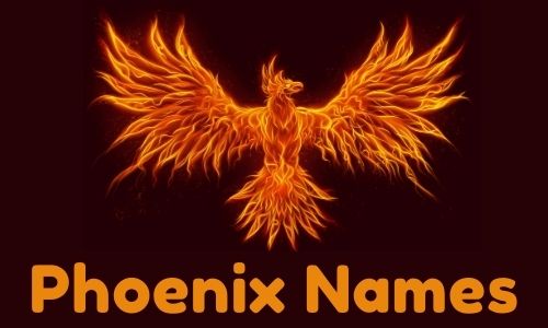 Phoenix Names