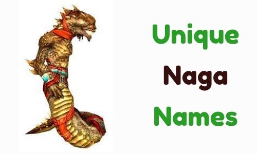 Unique Names Naga