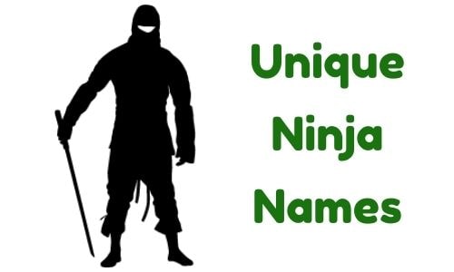 Unique Names Ninja Names