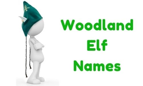 Woodland Elf Names